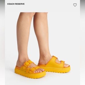 🟠🟠🟠 Coach Lucy Sandal Canary (Coach Reserve)
